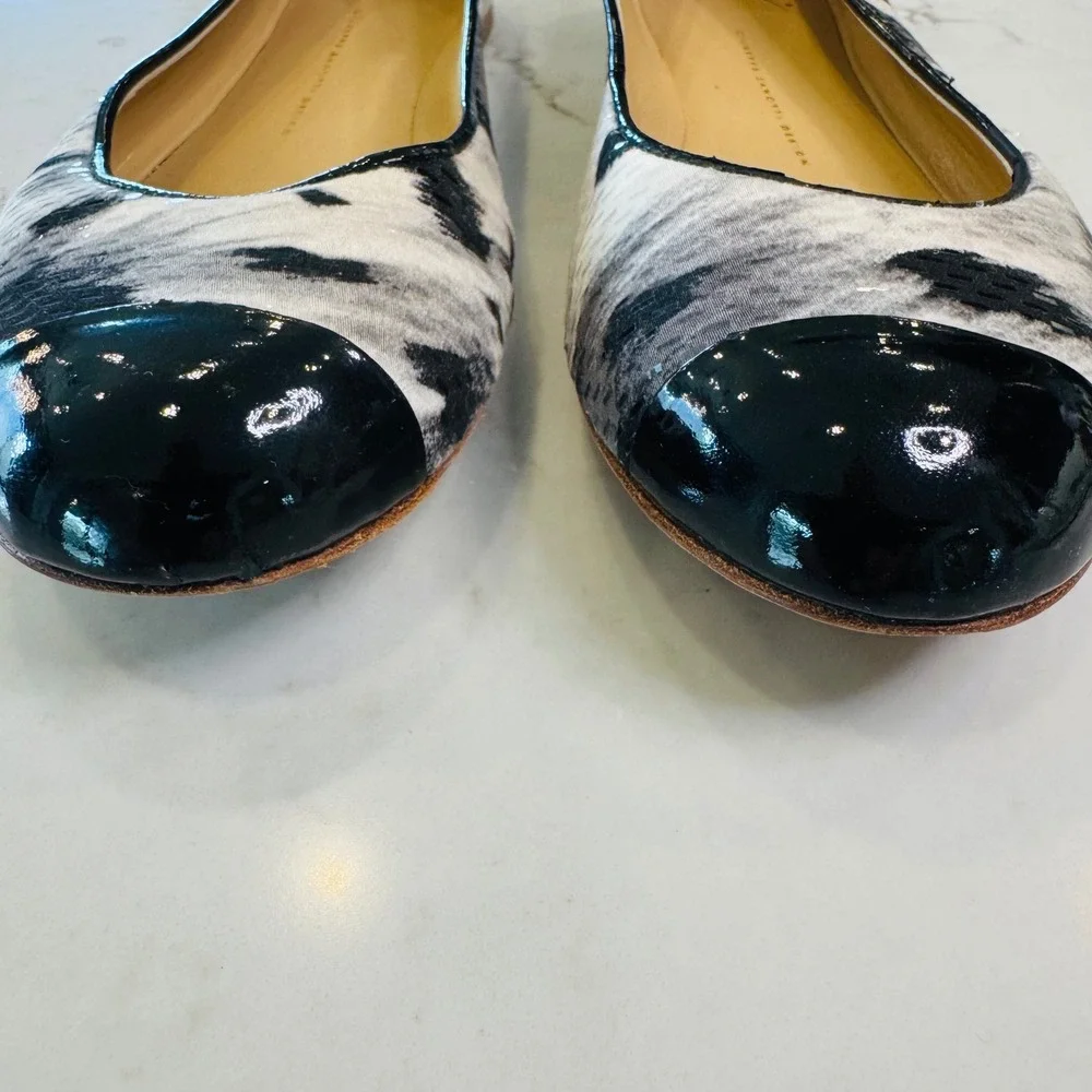 Giuseppe Zanotti giuseppe zanotti